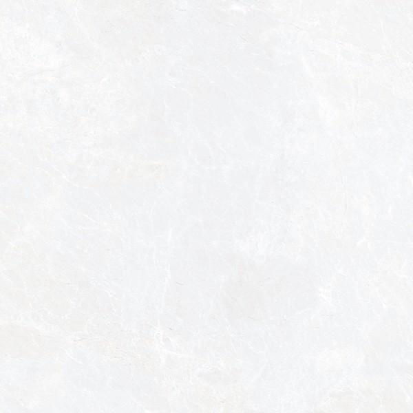 Керамогранит СИНАРА ЭЛЕГАНТНЫЙ / SINARA ELEGANT 60*60 матовый