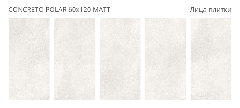 Керамогранит Concreto CONCRETO POLAR 60x120 MATT   
