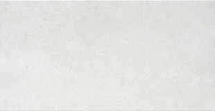 Плитка облицовочная REV. GARD 31X60 CENIZA