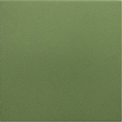 Гранит керамический 30716 RIVOLI Green 20x20 см