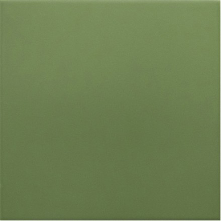 Гранит керамический 30716 RIVOLI Green 20x20 см