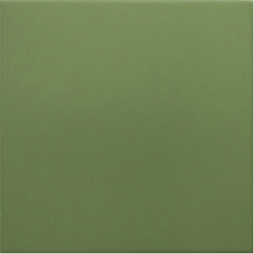 Гранит керамический 30716 RIVOLI Green 20x20 см