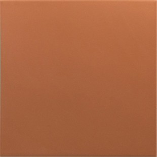 Гранит керамический 30718 RIVOLI Terre 20x20 см