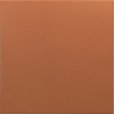 Гранит керамический 30718 RIVOLI Terre 20x20 см