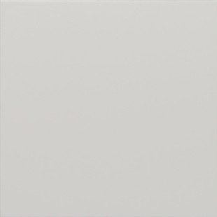 Гранит керамический 30715 RIVOLI White 20x20 см