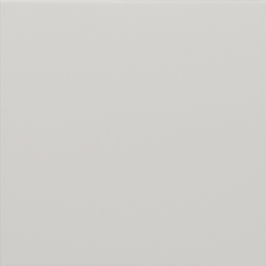 Гранит керамический 30715 RIVOLI White 20x20 см