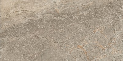 60x120 StoneS Пьетра Рома Табачный Матовый R10A