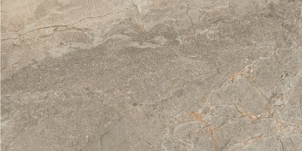 60x120 StoneS Пьетра Рома Табачный Матовый R10A