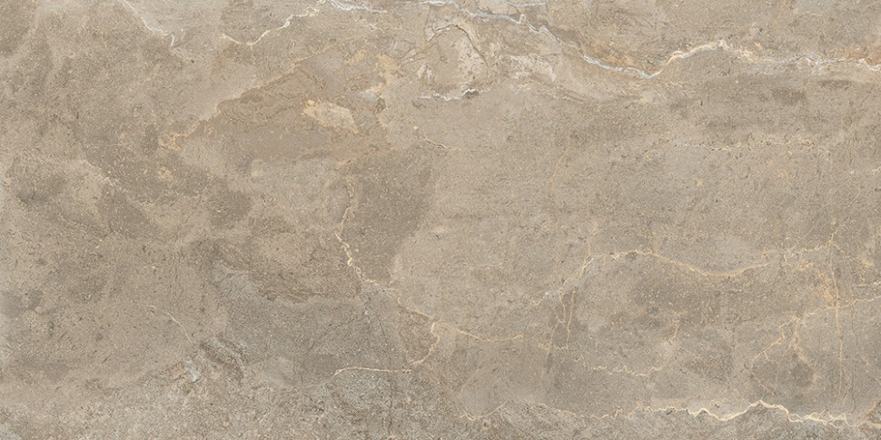 60x120 StoneS Пьетра Рома Табачный Матовый R10A