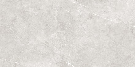 GT40801401MCR Керамогранит Bliss_GT Серый 40x80 