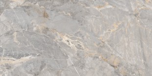 GT120604001MCR Керамогранит Omega_GT Сер. 60x120 карвинг