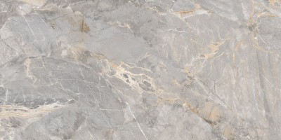 GT120604001MCR Керамогранит Omega_GT Сер. 60x120 карвинг