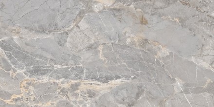 GT120604001MCR Керамогранит Omega_GT Сер. 60x120 карвинг