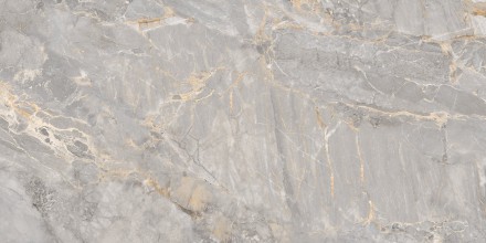 GT120604001MCR Керамогранит Omega_GT Сер. 60x120 карвинг