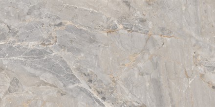 GT120604001MCR Керамогранит Omega_GT Сер. 60x120 карвинг