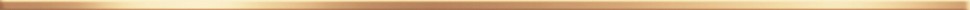 Бордюр DELACORA Steel Gold 12x1200 BW0SST09