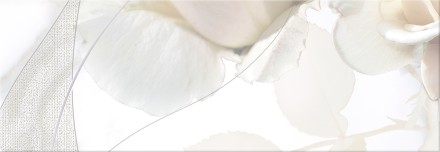 Панно Calacatta Rosa 48,4* 140