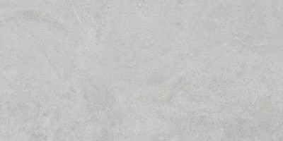 60x120 StoneS Боргония Клауд Серый Матовый R10A