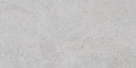 60x120 StoneS Боргония Клауд Серый Матовый R10A