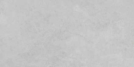 60x120 StoneS Боргония Клауд Серый Матовый R10A