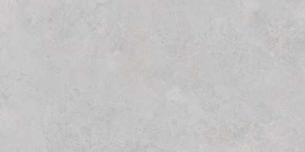 60x120 StoneS Боргония Клауд Серый Матовый R10A